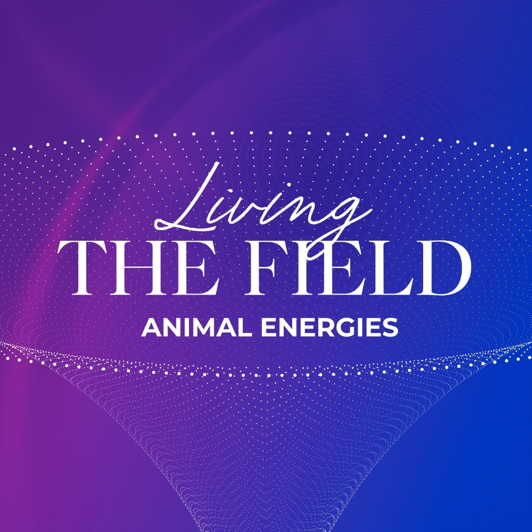 Living The Field (Animal Energies)