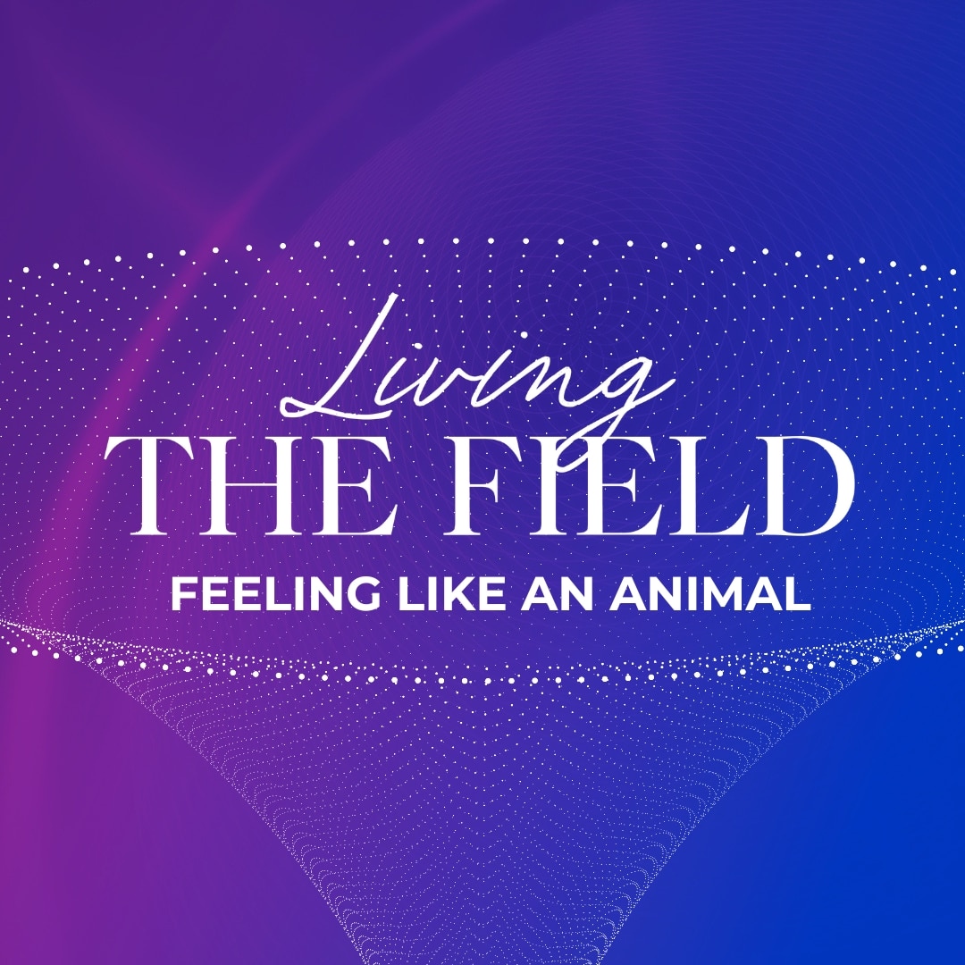 Living The Field (Feeling like an Animal)